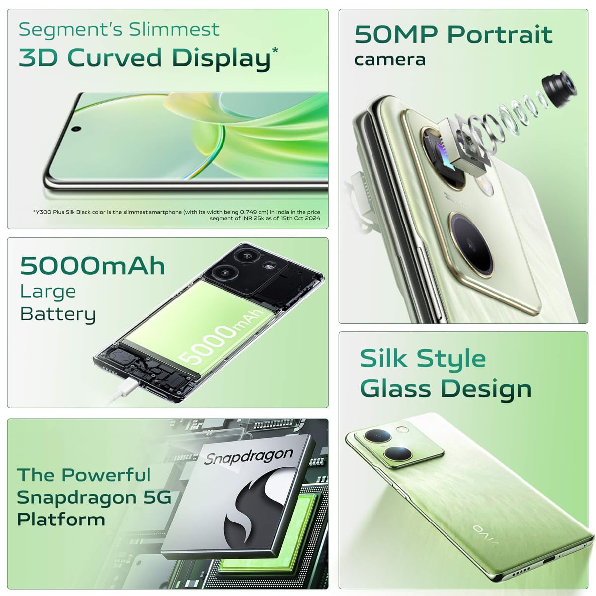 VIVO Y300+